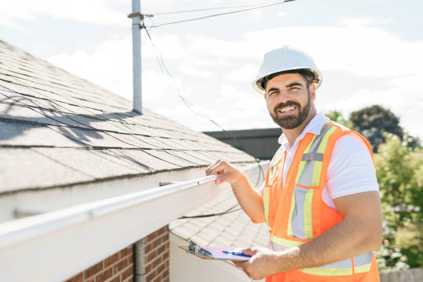 Best Solar Panel Roofing Installation  in Osceola, MO